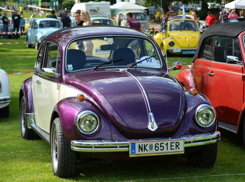 vw_kaefer_1303_04.jpg